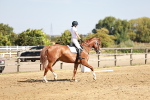 SBM_001331