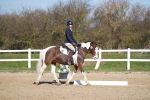 SBM_002045