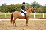 SBM_005367
