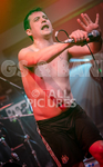 Pigsx7-60