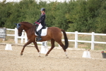 SBM_015648