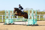 Class 2 - Senior British Novice - 90cm portfolio