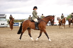 SBM_00623