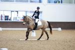 SBM_000426