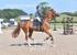 BPP_5567