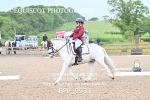 BPP_9933