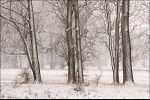 Snow along the River Elbe #4