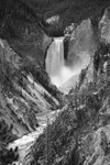 Lower Falls-Yellowstone-BW