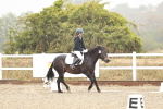 SBM_001119