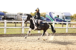 SBM_002912
