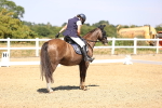 SBM_005500