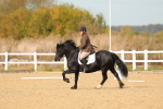 SBM_010460