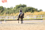 SBM_007531