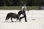 20260802-1205