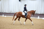 SBM_003294