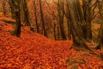20121028-_MG_0699_HDR