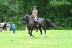 WJ7_4112