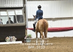 BPP_3133