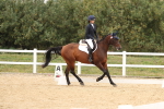 SBM_01003