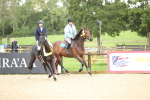 J27 - Senior Horse & Pony 50cm Championships portfolio
