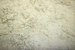 SBM_008908