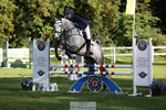 445-CRUISING.BORO-Lucy.Knight-TrotUp+SJ portfolio