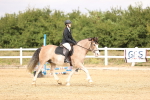 SBM_007638