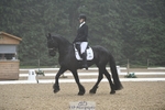 274-Paige_Beattie-Orcaber_Dark_Secret portfolio