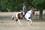 WJ7_7754