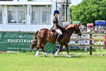 SBM_03706