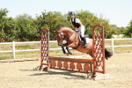 SBM_002650