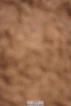 240526A-122030-08037