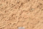 231122A-115810-00244