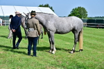 SBM_03358