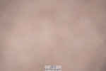 240802A-145038-05326