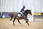 SBM_000601