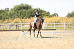 SBM_006516