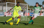GFC v Hastings United 2018-54