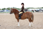 SBM_15831