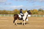 SBM_002259