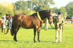 SBM_56741