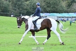 669-FOXRIDGE.HIGH.JINX-Claire.Deuten-DR portfolio