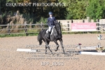 BPP_8053