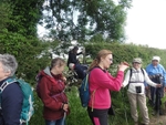 056 Over the stile with a moment of entertainment