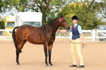 SBM_10184