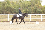 SBM_001114