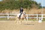 SBM_001558