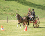 Attelage -809