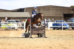 SBM_003286