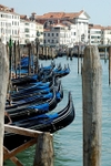 Venice Gondole Dance